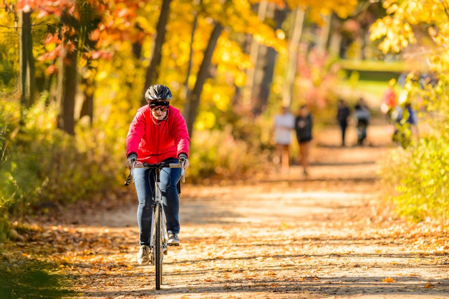 biker on lakeshore path